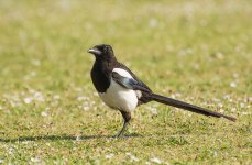 DSC_7641.jpg