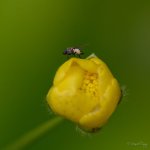 _N714192.jpg