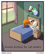 18952950_1725451081080665_3040036117583828131_n.png