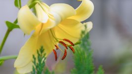 _DSC0666-Edit.jpg