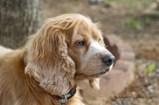Lottie_5000450.jpg