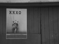 XXXO.jpg