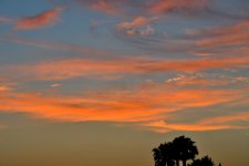ROY_8274_01.JPG