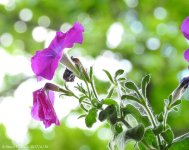 DSCN2164.jpg