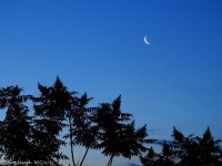 DSCN2172.jpg