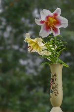 _DSC5208-Edit-2.jpg