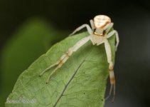DSC_9413.jpg