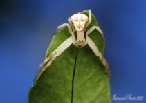 DSC_9414.jpg
