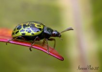 DSC_9473.jpg