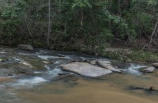 06-27-2017_0006.jpg