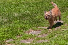 Jersey Girl-6093.jpg
