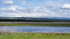 20170509_103348.jpg