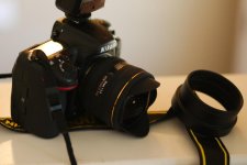 sigma fisheye-DSC_1586-0002.jpg