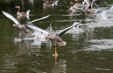 DSC_0123.jpg