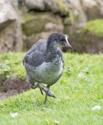 DSC_0161.jpg