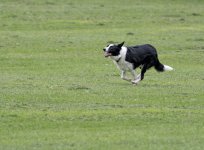 DSC_0224.jpg