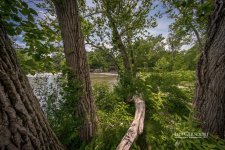 6-29-17 Peninnusla -1-14_4438CMA  1-11-17.JPG