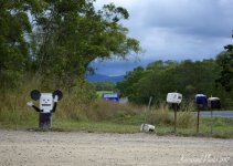 DSC_9506.jpg