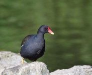 DSC_0293_008.jpg