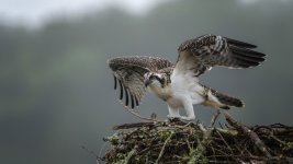 _DSC5716-Edit.jpg