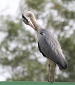 DSC_0457.jpg