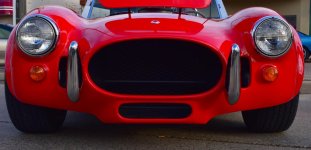 DSC_0198.jpg