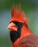 DSC_0223.jpg