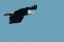 chain lake-DSC_0850-0009.jpg