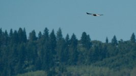 chain lake-DSC_0880-0012.jpg