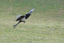 DSC_1076.jpg