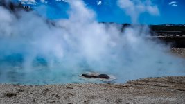 20170511_115842.jpg