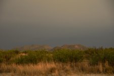 7-2-17-cr__7501239.jpg