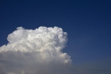 7-3-17-cr__7501244.jpg