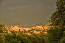 7-3-17-cr__7501245_01.jpg