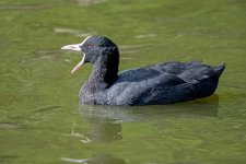 DSC_1322.jpg