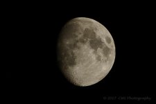 7-4-17-cr__D7K7296.jpg