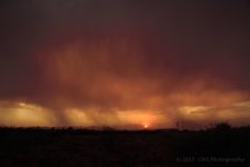 7-5-17-cr__7501254.jpg