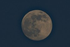 7-7-17-cr__D7K7304.jpg