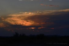 7-7-17-cr__D7K7305.jpg