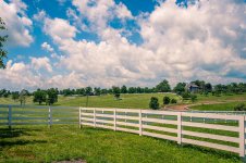 20170708 Family and fun-7203.jpg