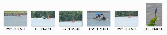 screen shot NEF folder.jpg