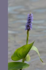 DSC_3378 unedited low res of original jpeg.jpg