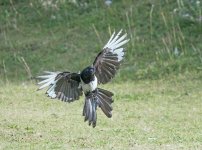 DSC_1413.jpg