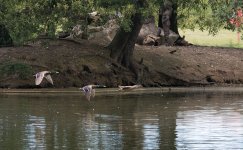 DSC_1448.jpg