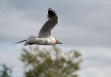 DSC_1363.jpg