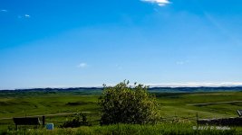 20170513_083902.jpg