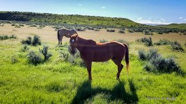20170513_084940.jpg