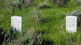 20170513_085804.jpg