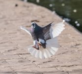 DSC_1404.jpg