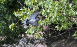 DSC_1565.jpg
